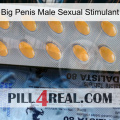 Big Penis Male Sexual Stimulant 44